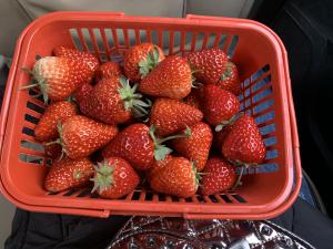 航空货运水果空运