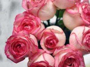 鲜花什么时候需要航空托运