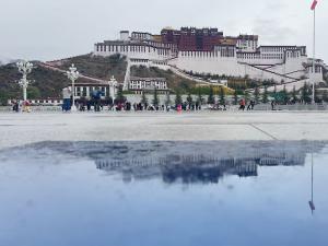 成都至拉萨：紧急时刻的高效空运物流保障