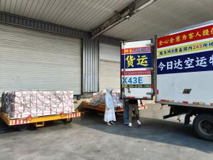 900件西梅鲜果进港提取派